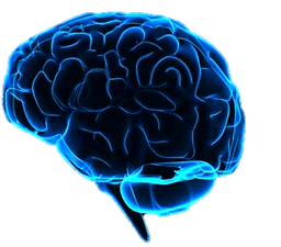personal_skills_and_self-development